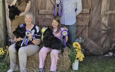CACDC Farm Dog Certification at the Tacoma Kennel Club All Breed Show, July 18-20, 2025