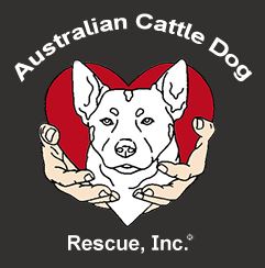 American Kennel Club