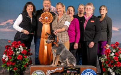 CACDC at the 2025 Rose City Classic